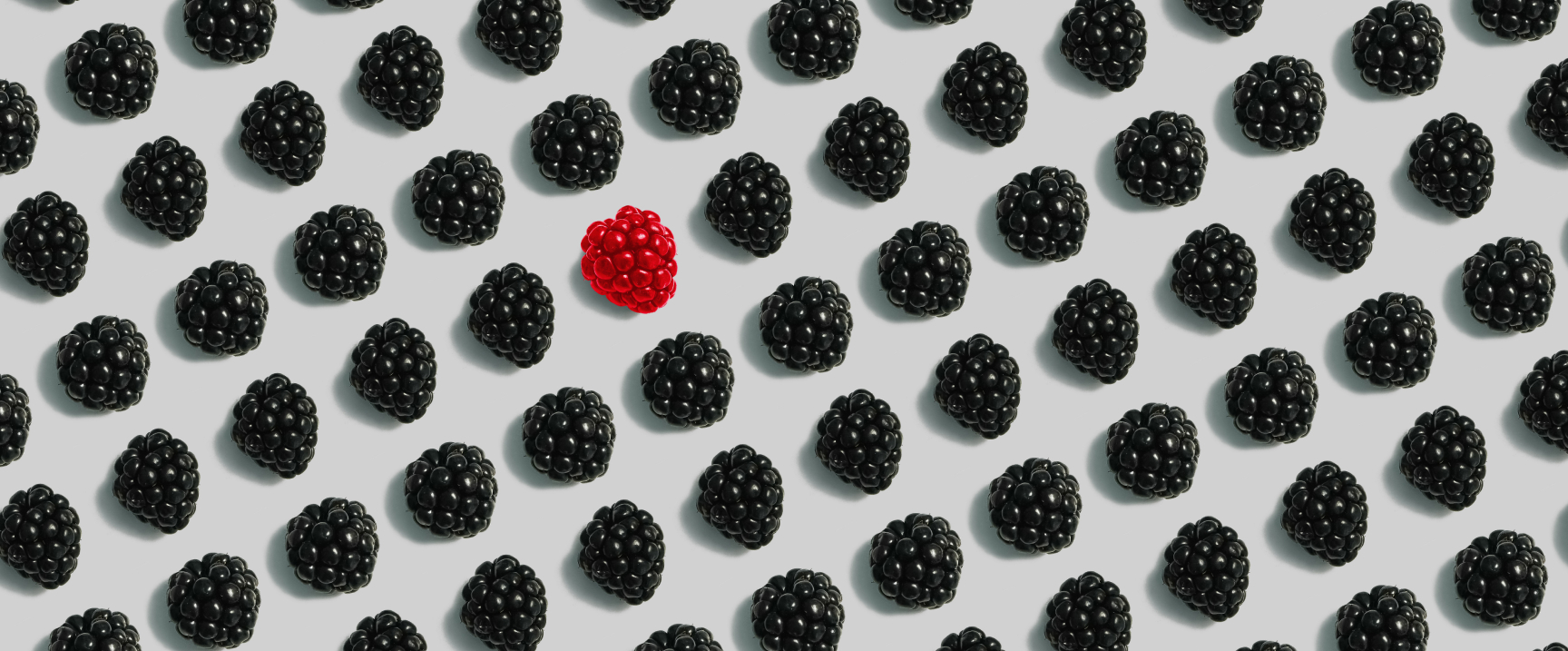 black dog studio PR - stand out like raspberry amongst blackberries