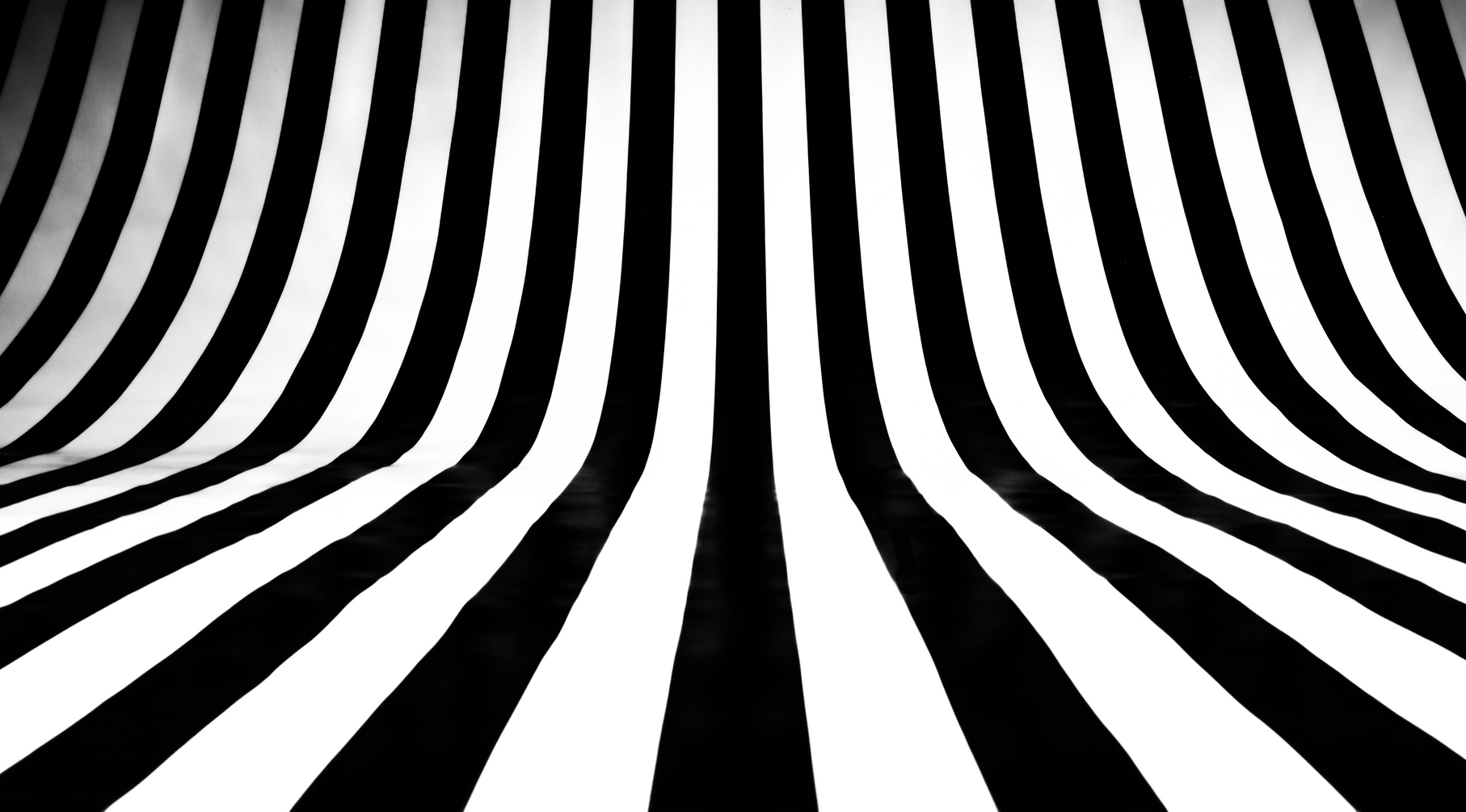 clients of black dog studio